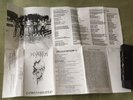 DEVASTATION (USA) 'Contaminated'  Death/THRASH METAL Demo Tape Mint