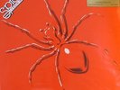 SPIDERS FROM MARS - Spiders From Mars (reissue) - Vinyl (LP)