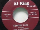 Rare Doo Wop 45 Love Lords Burning Love Simmer Fast Al King 11021 Scarce Record