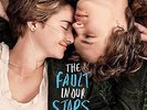 Original Soundtrack - The Fault In Our Stars (2 Disc) VINYL LP NEW