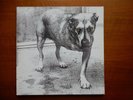 ALICE IN CHAINS - ALICE IN CHAINS - VINYL LP 12