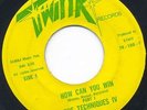 Sweet Soul - How Can You Win - Techniques IV - Twink