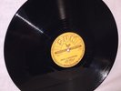 ELVIS PRESLEY SUN You're a Heartbreaker/Milkcow Blues Boogie 78 RPM REISSUE