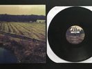 Glamour Kills Tour Black Vinyl The Wonder Years Polar Bear Club Into It Over It