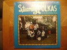 PRIVATE WISCONSIN LP RECORD/ BLUE RIBBON BRASS/STEAMING POLKAS/NR MINT VINYL