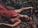 Roxy Music - Stranded [Vinyl New]