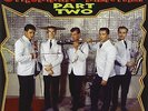 Strummin' Mental Part Two - VARIOUS [CD]
