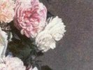 New Order-Power, Corruption and Lies  Vinyl / 12