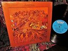CLEAN 1970 ORIG   FEVER TREE   FOR SALE Hard Garage Psych + 12:56 HEY JOE & LOVE