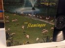 1959   Mono   The Flamingos   LP   Checker   1433   Doo Wop