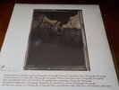 New- Surfer Rosa by Pixies (Vinyl, Sep-2004, 4AD (USA)) Free Shipping