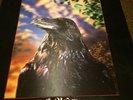 Stranglers The Raven LP, 1979 original UK press, 3-D cover, scarce
