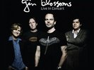 Live in Concert [LP] by Gin Blossoms.