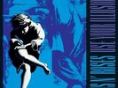 Use Your Illusion Ii - 2 DISC SET (2012, Vinyl NEUF) Explicit Version/Deluxe ED.