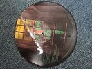 David Bowie Picture Disc LP Ziggy Stardust