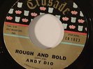 ANDY DIO 'BONNIE JEAN/ROUGH&Bold