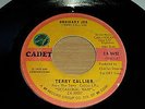 TERRY CALLIER - ORDINARY JOE - PRESSING