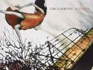 CIRCA SURVIVE-JUTURNA: DELUXE 10 YEAR ANNIVERSARY EDITION (ANIV)  VINYL LP NEW