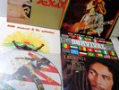 D)Lot 7 Vinyl Reggae Bob Marley The Wailers Ziggy Marley ++