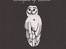 TRAMPLED BY TURTLES-PALOMINO  VINYL LP NEW