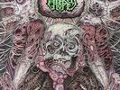 BROKEN HOPE-OMEN OF DISEASE  VINYL LP NEW