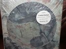 Stone Temple Pilots - Picture Disc 12