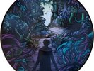 A DAY TO REMEMBER - Homesick (Picture Disc Vinyl) (LP)