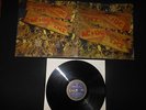 LP  AC/DC  T.N.T.   Albert Productions   APLPA- 016