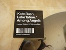 KATE BUSH LAKE TAHOE/ AMONG ANGELS LTD EDT 10in PICTURE DISC