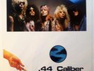 GUNS N' ROSES .44 Caliber Horticulture, 2 LP Vinyl Set  RARE 1987  Excellent