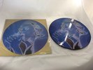 MADONNA *EROTICA* VERY RARE UNOFFICIAL 12 INCH PICTURE DISC