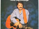 Never Say Goodbye  Peter Sarstedt Vinyl Record