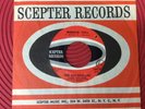 The Shangri-las WISHING WELL/HATE TO SAY I TOLD YOU SO Scepter 1291 VG++