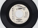 The Frantics 45 Werewolf/No Werewolf DOLTON surf garage rocker