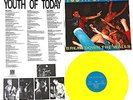 YOUTH OF TODAY LP BREAK DOWN THE WALLS