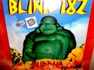 Blink 182: Buddha Pink Vinyl LP. Take Off Your Pants And Jacket. California. NEW