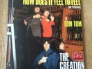 The Creation 7