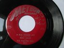 RARE ROCKABILLY 45  METEOR 5022 by Mac & Jake
