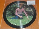 DAVID BOWIE : DAVID BOWIE.10´´ INCH.SUPER RARE TEST PRESSING.ONE COPY.PIC DISC.M