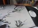 Badger - One Live Badger LP 1973 Mint Promo Hard, Prog, Rock, Top Rare