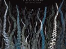 Pelican - City of Echoes