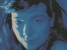 BJöRK-TELEGRAM (DIRECT METAL MASTERING)-VINYL LP ONE LITTLE INDIAN NEW