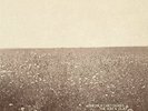 The Ash & Clay [VINYL] The Milk Carton Kids Vinyl