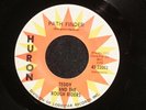 TEDDY AND THE ROUGH RIDERS Path Finder HURON listen