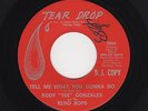 '60s Txs Latino Soul RUDY 