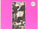 ROSES IN THE HOSPITAL  MANIC STREET PREACHERS Vinyl Record