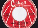 THE FIVE DISCS Never Let You Go 45 rpm 7