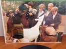 The Beach Boys 
