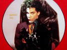 Prince  Picture Disc Record 12