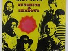 Ars Nova - Sunshine & Shadows LP - Atlantic